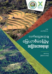 Read more about the article Basic Principles of Practical Land Administration (Burmese)