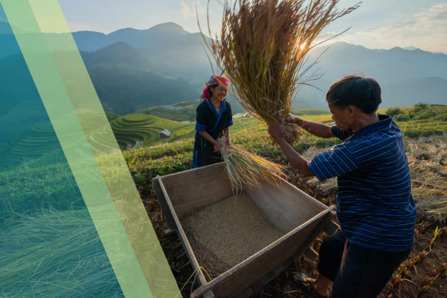 Creating agricultural landscapes with positive environmental outcomes