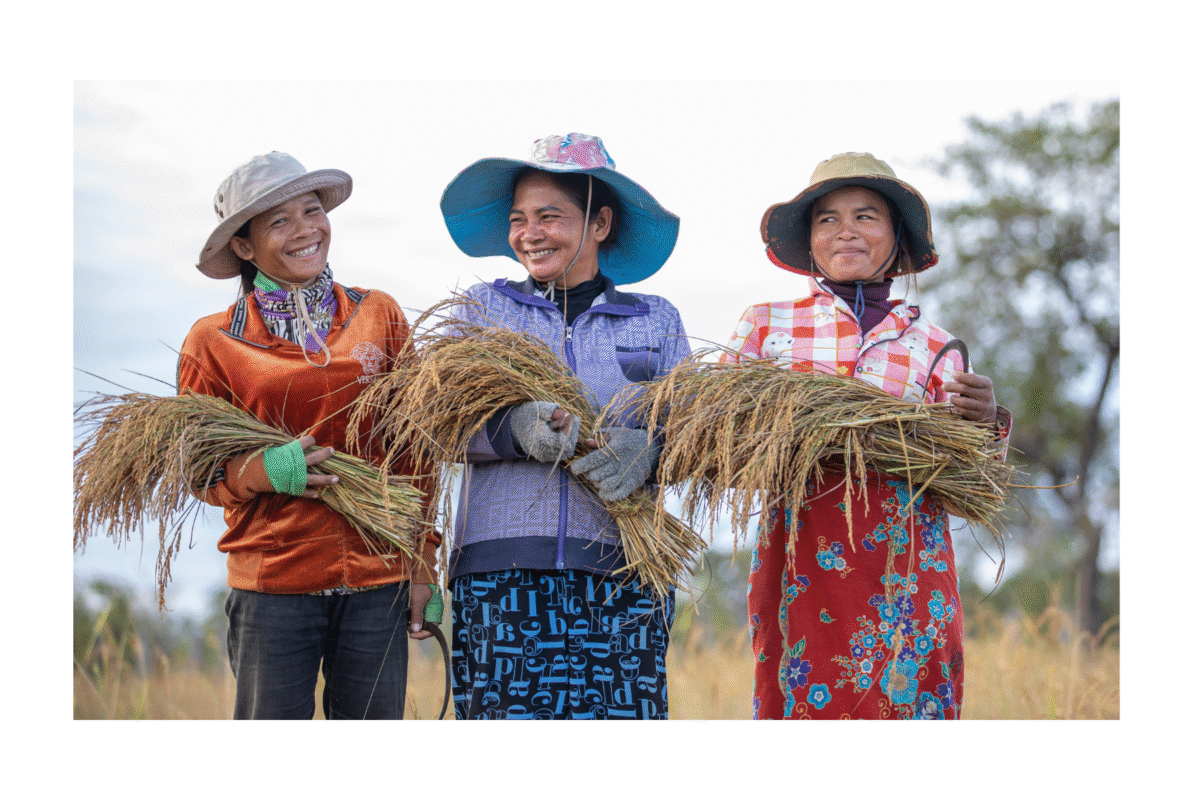 Harvesting Hope Women Cultivating Sustainability (photo: Banung Ou)